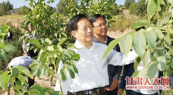 8��24�գ�ʡ�˴�ί�ḱ���Ρ����鸱�����Ч����¤���ز������˽������ֲ���